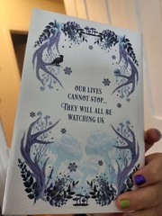 Omen of Ice by Jus Accardo Owlcrate Signed Special Edition YA Book