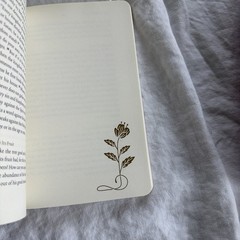 ESV Illuminated Scripture Journal: Matthew by ESV Bibles Paperback NEW