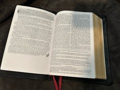Edge Lined orthodox study bible leather With Apocrypha/ Deuterocanonical