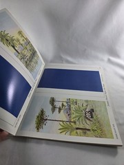Dinosaur Dioramas to Cut and Assemble by Matthew Kalmenoff (1983, Paperback)