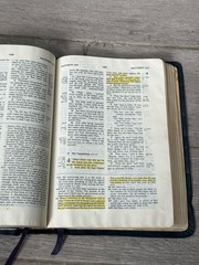 ✝️ The Ryrie Study Bible NASB New American Standard Genuine Leather Moody Press