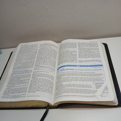 Student Bible NIV Philip Yancey Tim Stafford 2002 Bonded Leather Zondervan