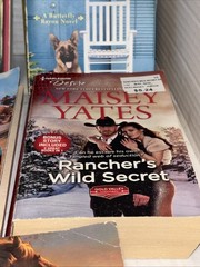 Vintage Romance Novels Lot Of 11 1980’s 1990’s 2000’s Paperback Books Lot Sultry