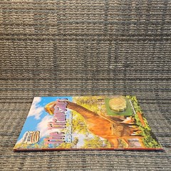 Titanosaurs: Earth-Shaking Dinosaurs by Dougal Dixon Paperback Book