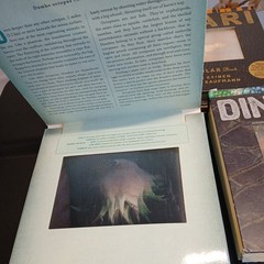 Ocean: A Photicular Book – Hardcover, by Kainen Dan; Kaufmann Carol – Very Good