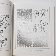 Horse Gaits, Balance and Movement by Susan E. Harris 1993 HC DJ