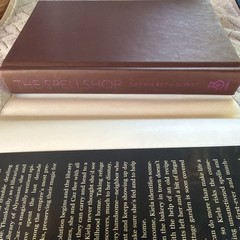 The Spellshop Sarah Beth Durst, Hardcover