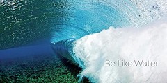 Clark Little: The Art of Waves, Little, Clark, Excellent Book