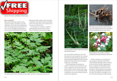 Southeast Medicinal Plants: Identify, Harvest, and Use 106 Wild Herbs for Health