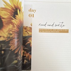 The Daily Grace Co. He Leads Me: A Study of Psalm 23 Kristin Schmucker PB 2017