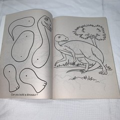 DINOSAURS COLORING BOOK.