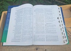 SCARCE! 1995 NASB Ryrie Study Bible Thumb Indexed HCDJ 1995c. USA GOOD+