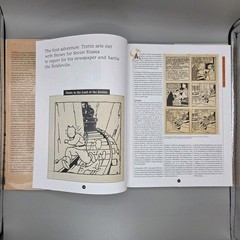 Tintin: The Complete Companion by Michael Farr, Herge, HCDJ 2006 Like New