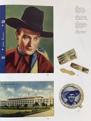 In Flagrante Collecto Marilyn Gelfman Karp Vintage Collectibles Book 2006