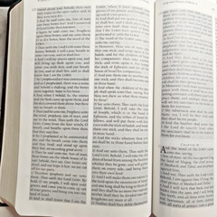 The Jack Van Impe Prophecy Bible KJV Red Letter Limited Edition Leather Bound