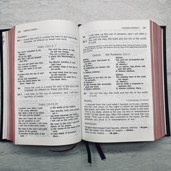 Christian Prayer Liturgy of the Hours © 1976 Daughters of St Paul – Catholic