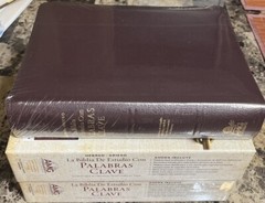 BIBLIA PALABRAS CLAVE DICCIONARIO HEBREO- GREIGO PIEL ESPECIAL BORGOÑA RV 1960
