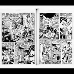 Eric Stanton, Steve Ditko: STANTOONS, (Steve Ditko: Spider-Man, Marvel Comics)