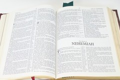 Holy Bible NKJV Red Family Edition Leather1985 Nelson 255BGCE 11.5×8.5×2 Inches