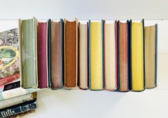 VTG Novels Book Lot of 10 1940s-50s Hardcovers Granny’s House Smell Estate Sale