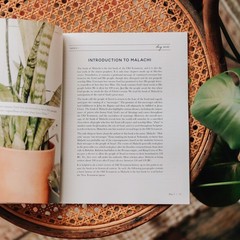 The Daily Grace Co Waiting for Hope | Malachi Bible Study
