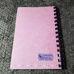 Unbearably Good! Read Association Cookbook 1997 Community Recipes Morris Press