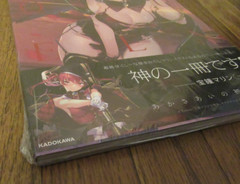 Red Queen Akasa AI Collection of Works Published by Kadokawa Japan Art Book New