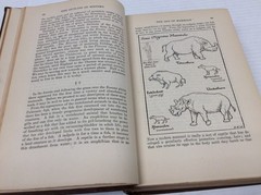 THE OUTLINE OF HISTORY: BEING A PLAIN HISTORY OF LIFE HG Wells Vintage HC 1921