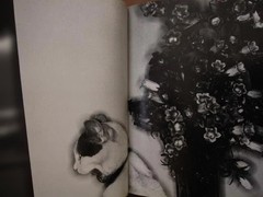 Nobuyoshi Araki „Erotos” Photo Book First edition Hardcover Japanese