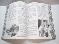 D&D 3.5 Player’s Handbook & Monster Manual -First Prints + Quintessential Druid