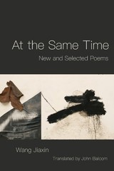 Wang Jiaxin At the Same Time (Paperback) (UK IMPORT)