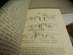 Bakker. The Dinosaur Heresies New Theories Unlocking Mystery of Dinosaurs Signed