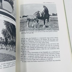 Gentle Giants Story of Draft Horses Stanley M. Jepsen 1973 HC 2nd Print Photos