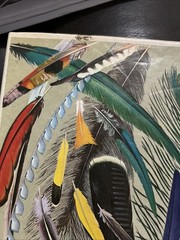 World of Birds,JAMES FISHER AND ROGER TORY PETERSON – New and Revised Edition