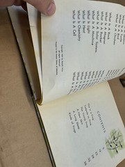 What is a Frog (The What is it series) 1957 Gene Darby Vtg Children’s book b