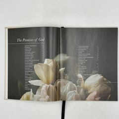 The PROMISES Of God By The Daily Grace Co. Hardcover Beige – Religious Book