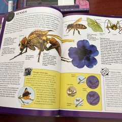 World of Wow, Set Of 4 Books, Body, Insects, Universe, Planets