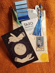 Blind Date With A Book || Choose Your Genre *See Description For Genre List*