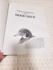 ECOLOGY & MANAGEMENT OF THE WOOD DUCK, 1994, Bellrose & Holm FF9.5