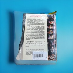 Catholic and Christian : An Explanation of . . . by Alan Schreck PB 1984 Good