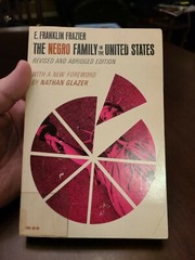 The Negro Family in the United States by E. Franklin Frazier, Revised, 1973, PB