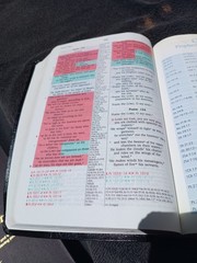 1998 NIV Prophecy Marked Reference Study Bible Bonded Leather Great Resource!