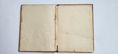 1935 Soviet Russian Children’s Book Bobkin Day Walter Emanuel Cecil Aldin USSR