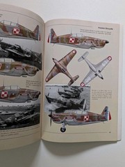Polish Wings 2 Morane MS 406 C1 Caudron CR 714 C1 Cyclone Bloch MB Belcarz