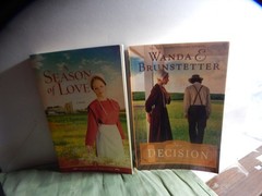 *NEW PRICE Lot of 19 Paperback Amish Romance Novels – Various Titles/Authors