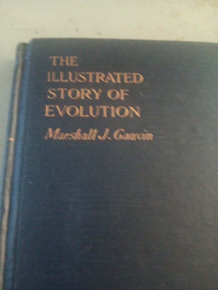 Evolution in Minutes: The Origins and Story of Life Explained and Illustrated