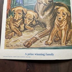 Vintage Linenette Books Animal Friends lot of 4 Sam’l Gabriel Sons & Co. 1941