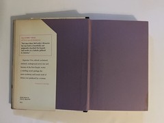 Superstar by Viva. G.P. Putnam’s Sons. First Edition. 1970