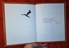 To See a World in a Grain of Sand by Caesar Johnson, 1972, 61 pages, Hardcover