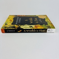 A Wrinkle in Time Book By Madeleine L’engle Paperback John Newberry Medal